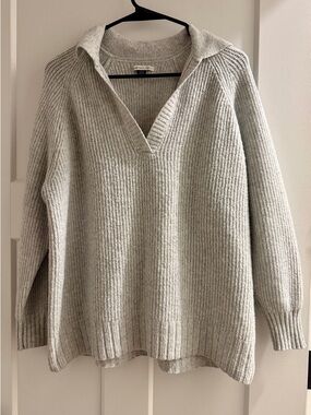 American Eagle Outfitters Light Gray Collared V-Neck Sweater